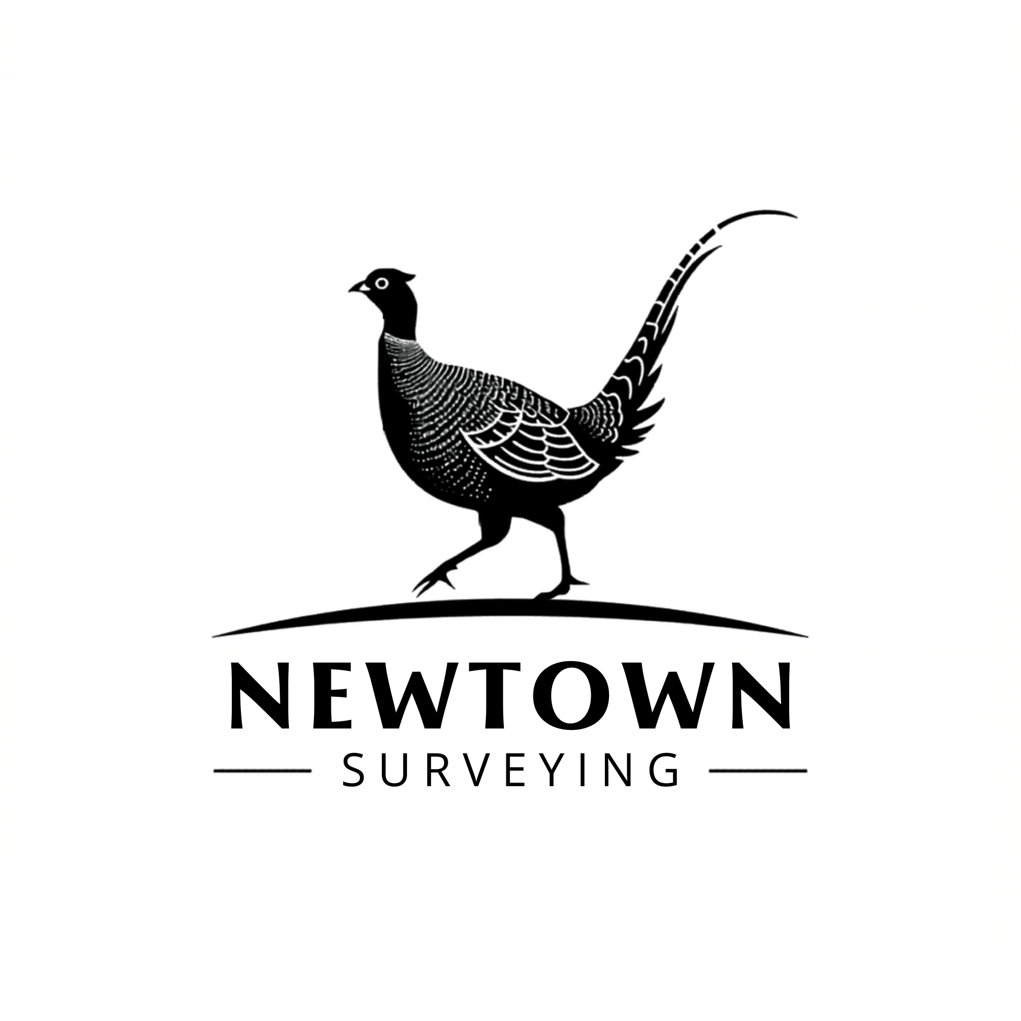 Newtown Surveying logo
